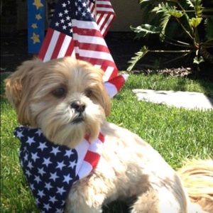 Meet your Posher, Victor